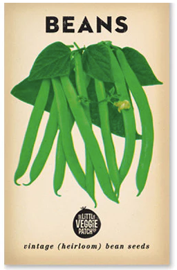 Bean 'Windsor Long Pod' Heirloom Seeds