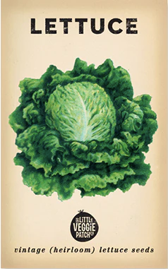 Lettuce Heirloom Seeds
