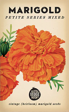 Marigold Heirloom Seed