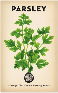 Parsley 'Italian' Heirloom Seeds