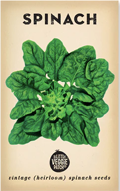 Spinach 'Bloomsdale' Heirloom Seeds