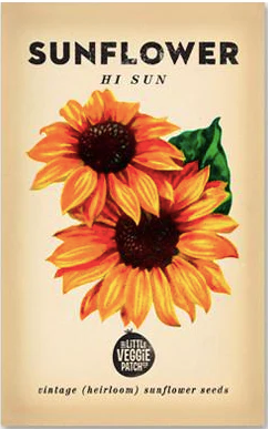 Sunflower Heirloom Seed
