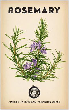 Rosemary Heirloom Seeds